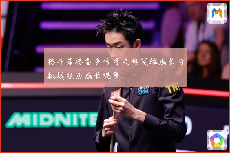 格斗菲格雷多传奇之路英雄成长与挑战经历成长观察