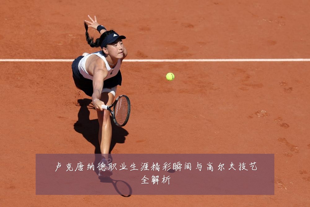 卢克唐纳德职业生涯精彩瞬间与高尔夫技艺全解析